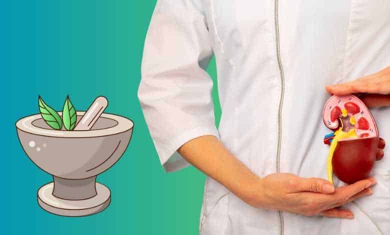 Ayurvedic treatment for kidney stones - What the Vedic texts say and how modern Panchgavya supports it