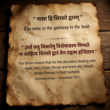 Panchgavyam Nasya (Nasal Drops) | Ayurvedic Nasya for Migraine Treatment, Headache Relief, Better Sleep Sinus Medicine & Insomnia Treatment